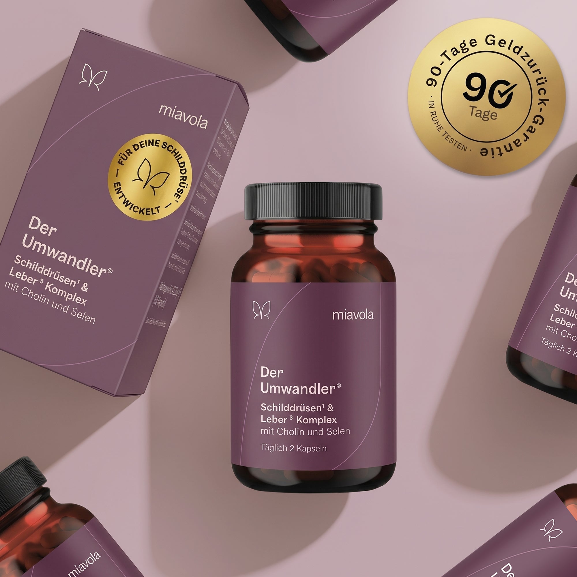 Der Umwandler®