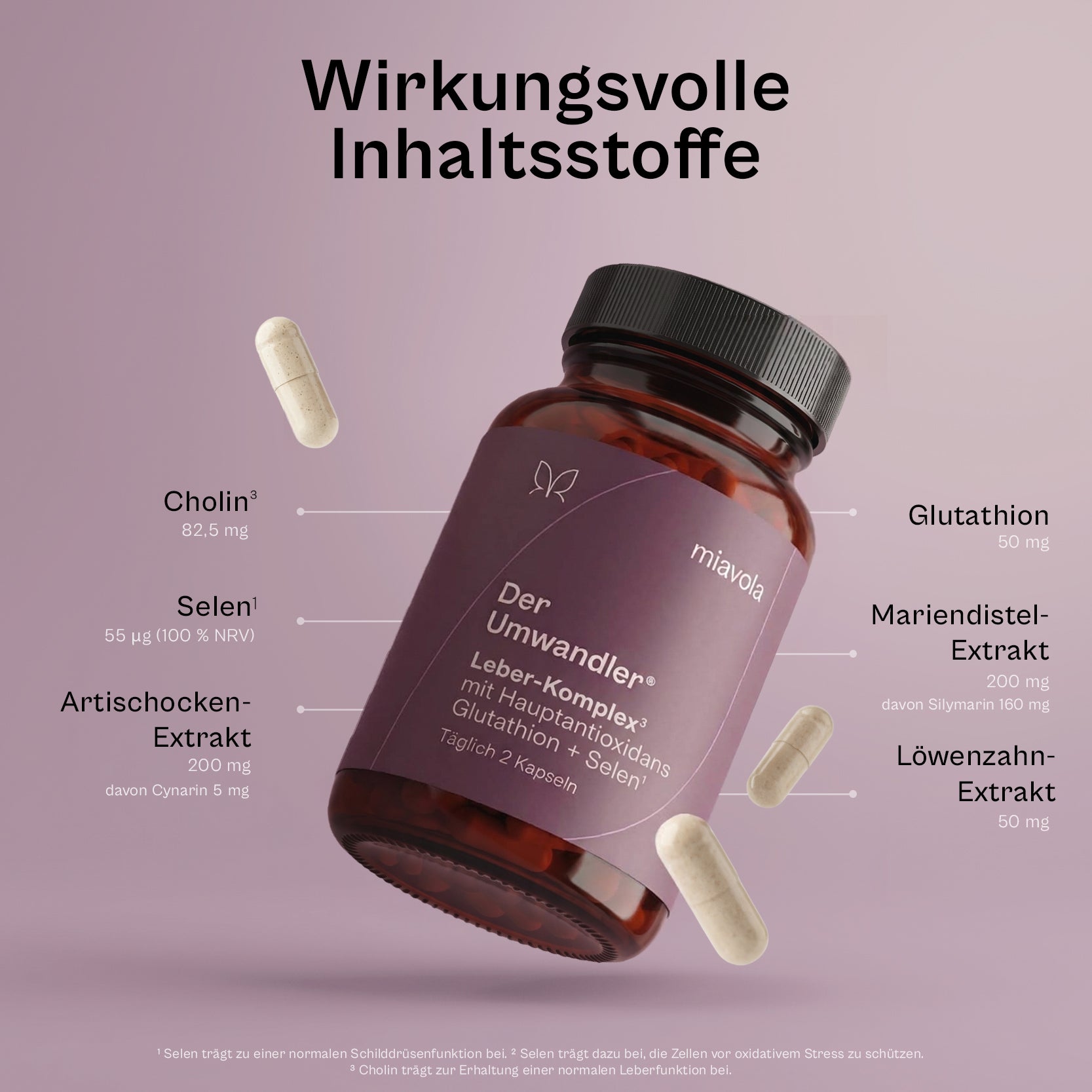 Der Umwandler®